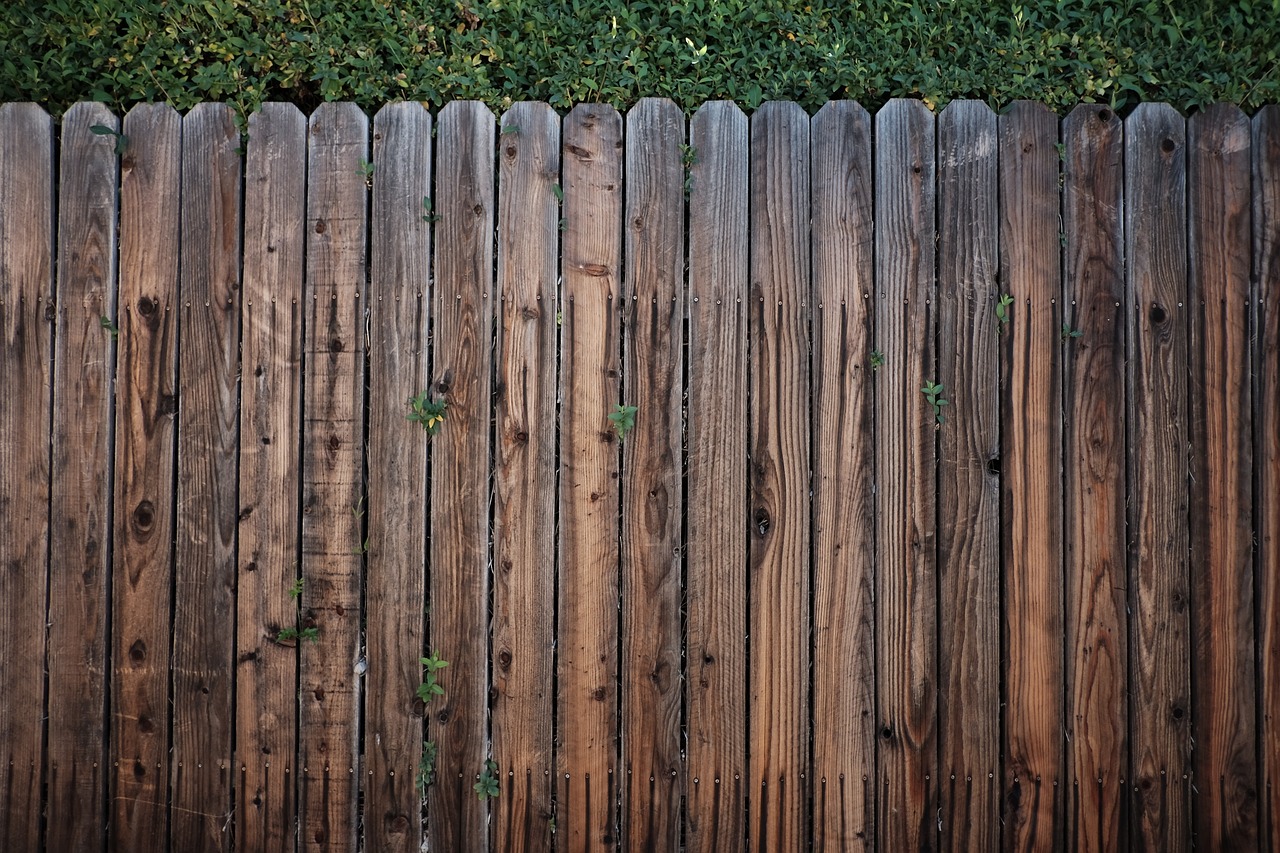 DIY Projects: How to Create Wooden Garden Signs